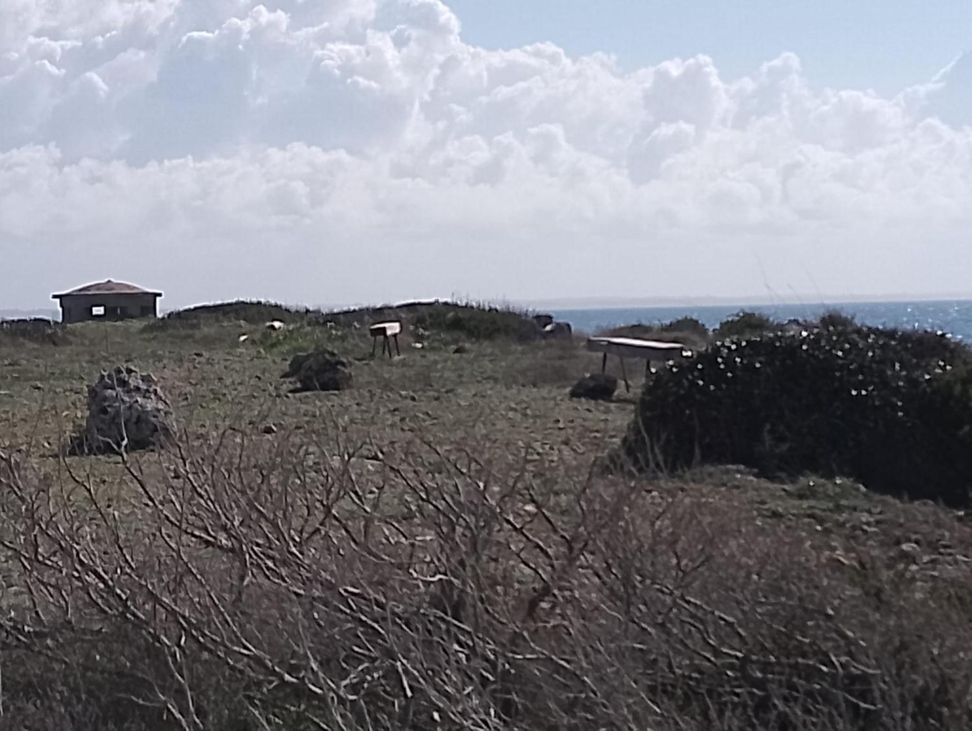 טורה לפילו Punta Grossa Apartments By My Home Apulia מראה חיצוני תמונה