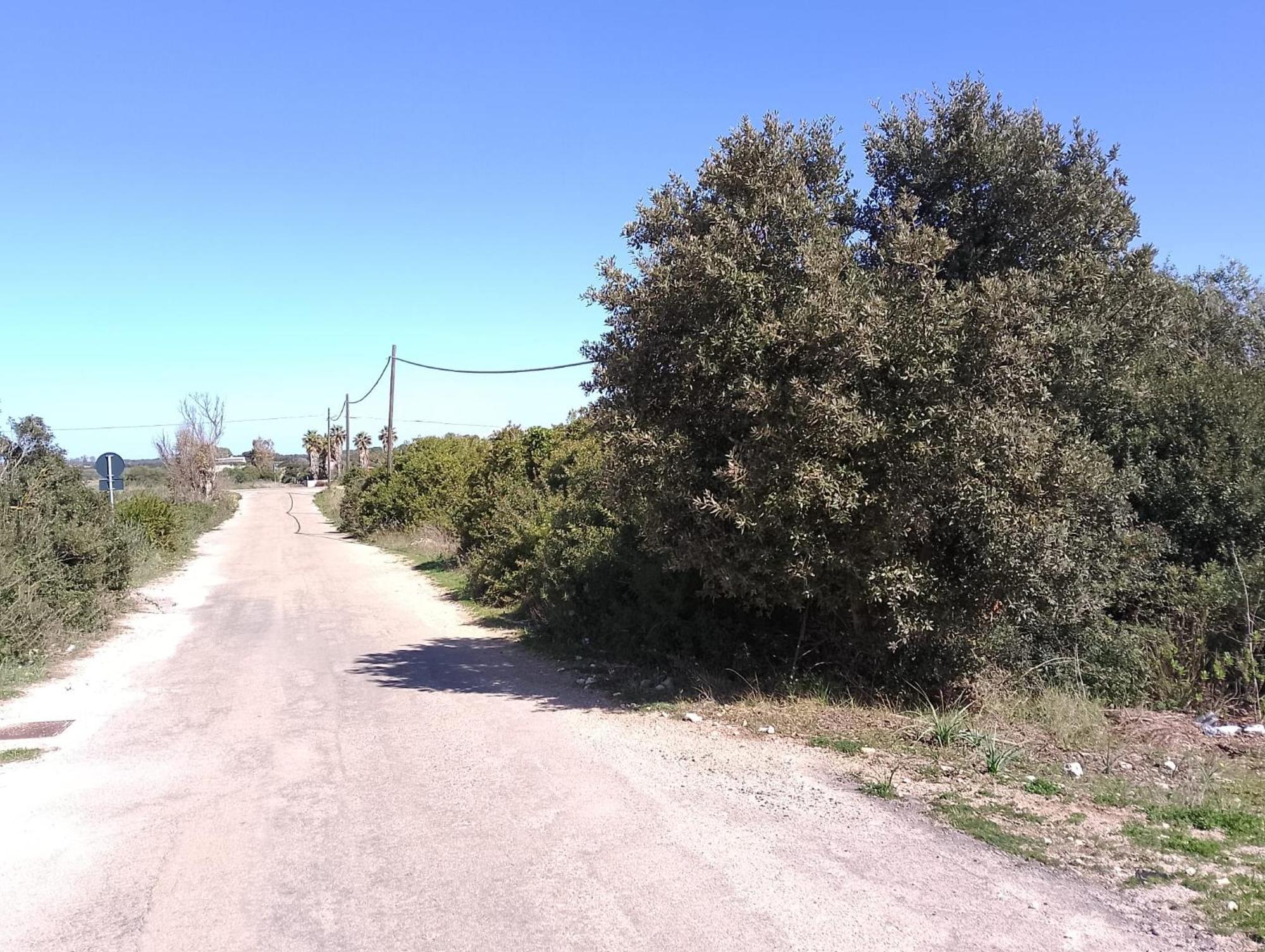 טורה לפילו Punta Grossa Apartments By My Home Apulia מראה חיצוני תמונה