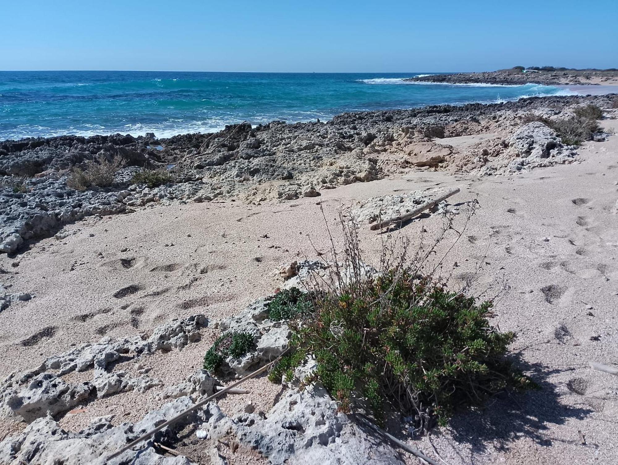 טורה לפילו Punta Grossa Apartments By My Home Apulia מראה חיצוני תמונה
